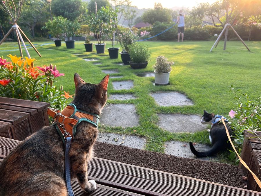 전남 순천 낭만 시골집 매매 전원주택 매매 (12).jpg