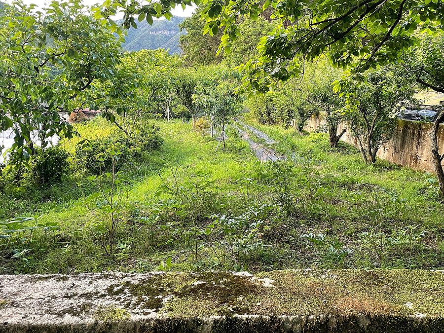 전남 순천 낭만 시골집 매매 전원주택 매매 (6).jpg
