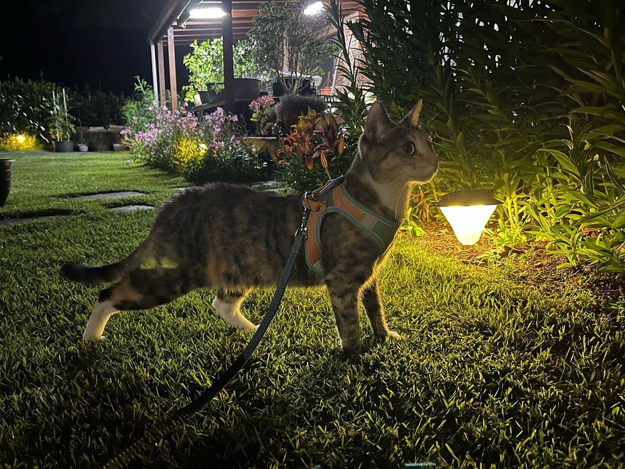 전남 순천 낭만 시골집 매매 전원주택 매매 (14).jpg