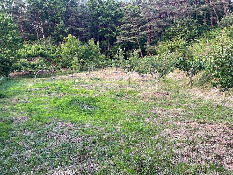 전남 순천 낭만 시골집 매매 전원주택 매매 (5).jpg