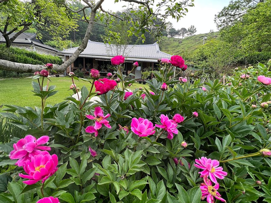 전남 순천 낭만 시골집 매매 전원주택 매매 (2-1).jpg