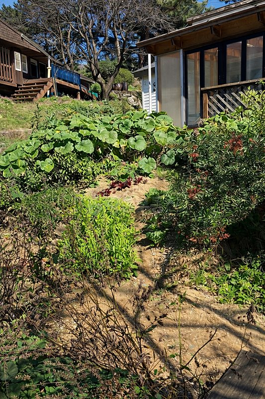 경남 산청 힐링 시골집 매매 주택 매매 (1).jpg