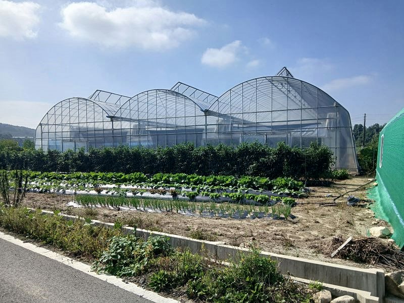 충북 충주 과수원 시골집 매매 전원주택 매매 (2).jpg