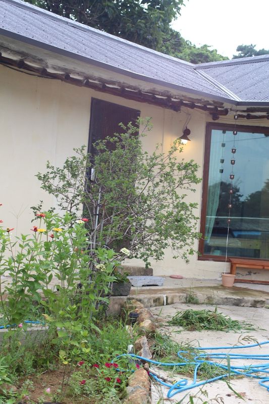 경기도 안성 서까래 시골집 매매 감성 숙소 매매 (3).jpg