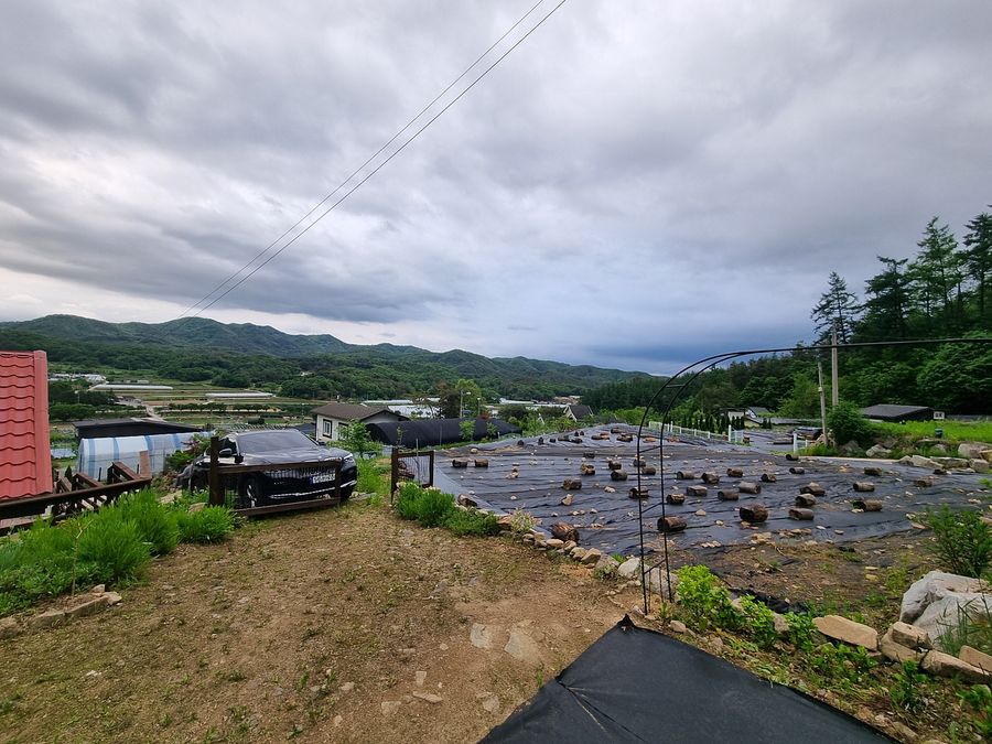 경기도 양평 낭만적 농막 주말주택 매매 (6).jpg