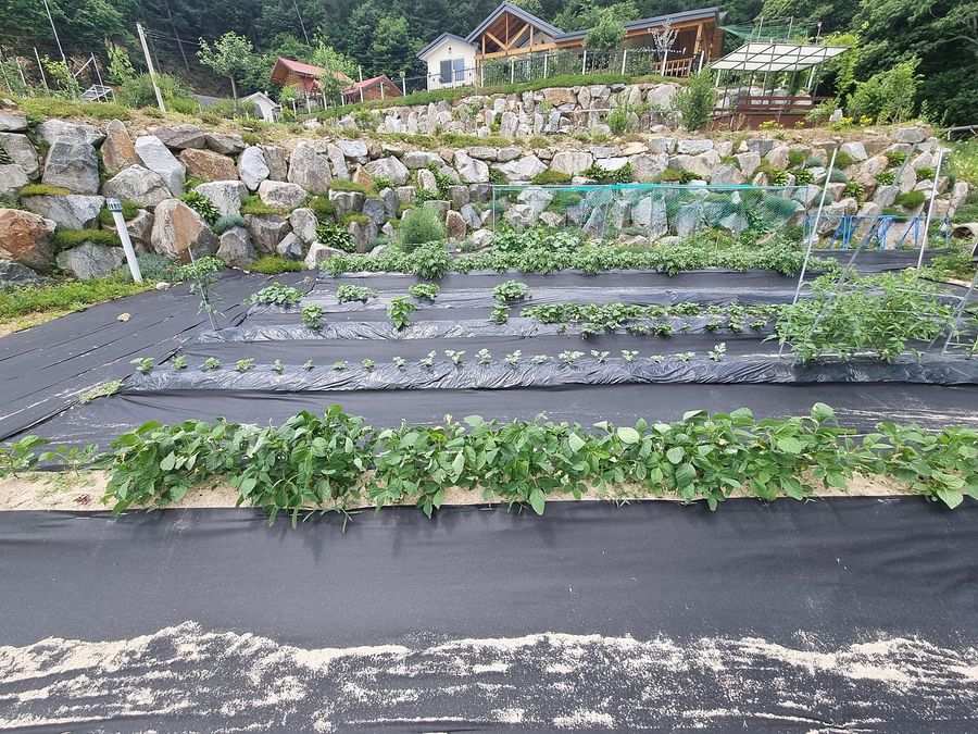 경기도 양평 낭만적 농막 주말주택 매매 (5).jpg