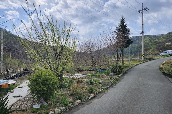 강원도 양양 시골집 매매 매력 있는 주택 매매 (6).jpg