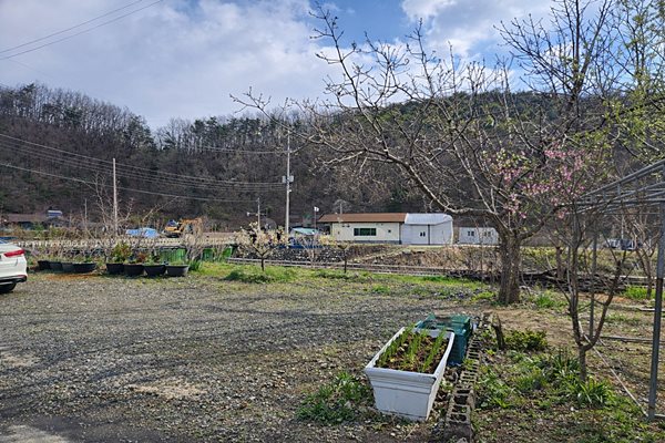 강원도 양양 시골집 매매 매력 있는 주택 매매 (3).jpg