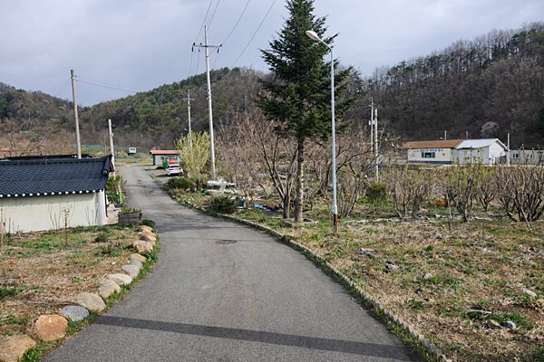 강원도 양양 시골집 매매 매력 있는 주택 매매 (5).jpg
