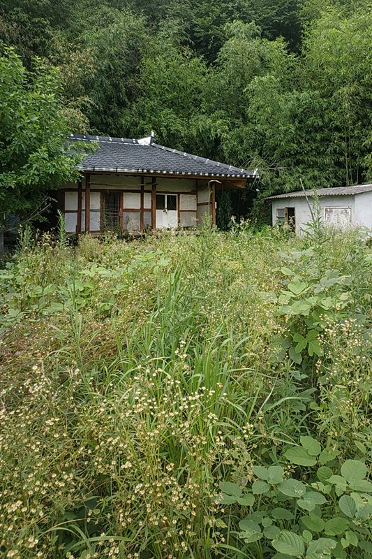 전남 광양 수리 필요 시골집 매매 넓은 토지 매매 (1).jpg