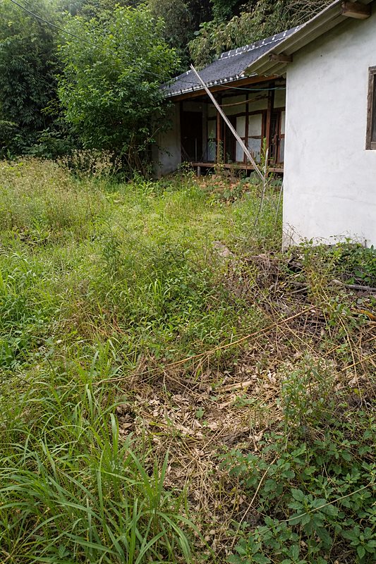 전남 광양 수리 필요 시골집 매매 넓은 토지 매매 (3).jpg