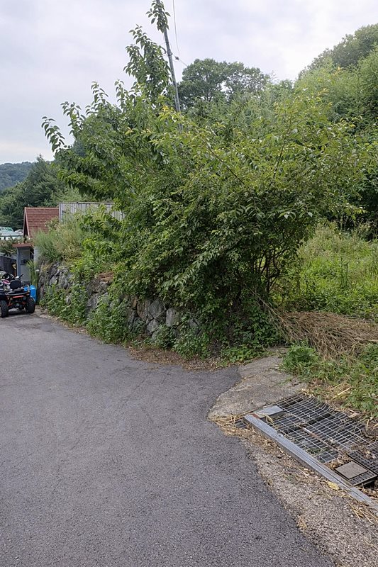 전남 광양 수리 필요 시골집 매매 넓은 토지 매매 (4).jpg