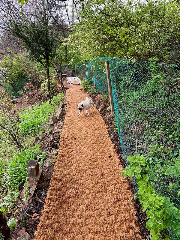 경기도 양평 낭만 한옥집 매매 시골집 매매 11.jpg