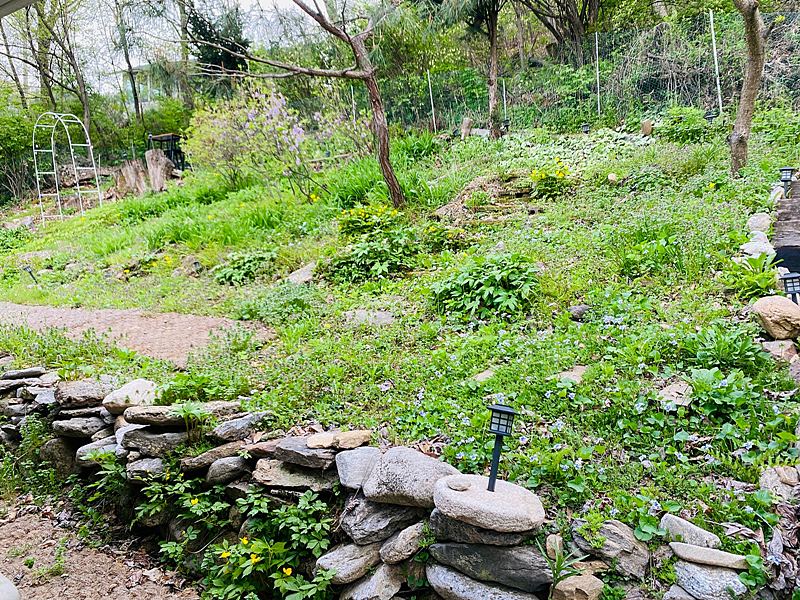 경기도 양평 낭만 한옥집 매매 시골집 매매 10.jpg