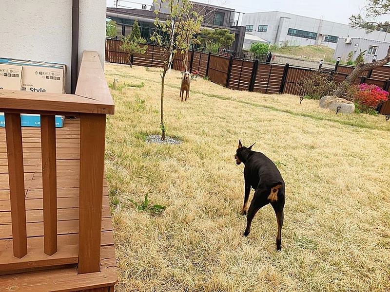 충남 천안 신축 단독주택 급매물 전원주택 매매 2 (2).jpg