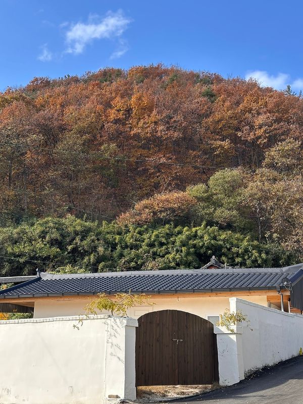 경북 영천 알찬 시골집 월세 세컨하우스 임대 (1).jpg