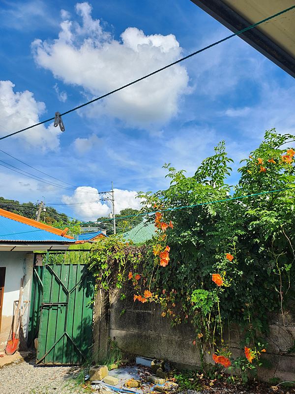 경기도 안성 서까래 시골집 매매 촌집 매매 (2).jpg