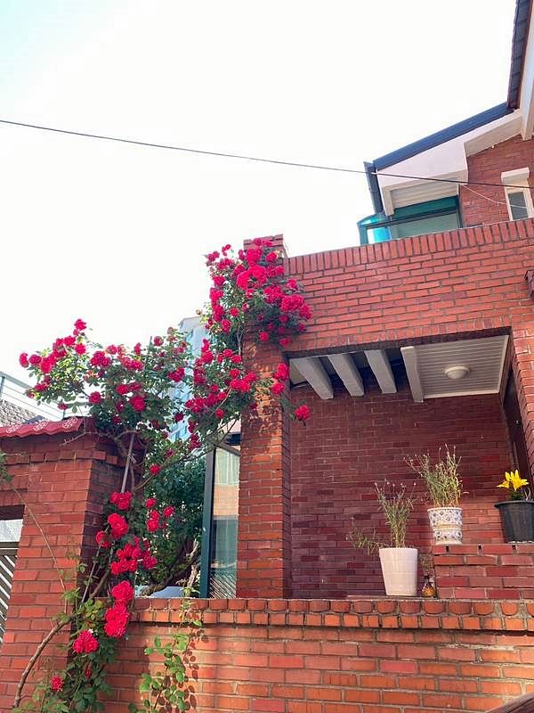 충남 천안 단독주택 매매 힐링 주택 매매 (3).jpg