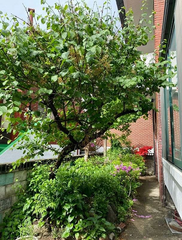 충남 천안 단독주택 매매 힐링 주택 매매 (5).jpg