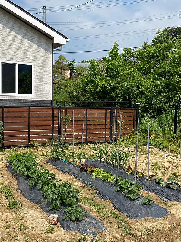 강원도 횡성 멋진 목조주택 매매 시골집 매매 (3).jpg