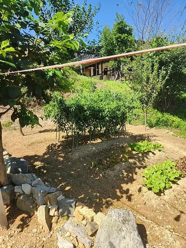 전남 장흥 너무 예쁜 한옥 매매 시골집 매매 (15).jpg