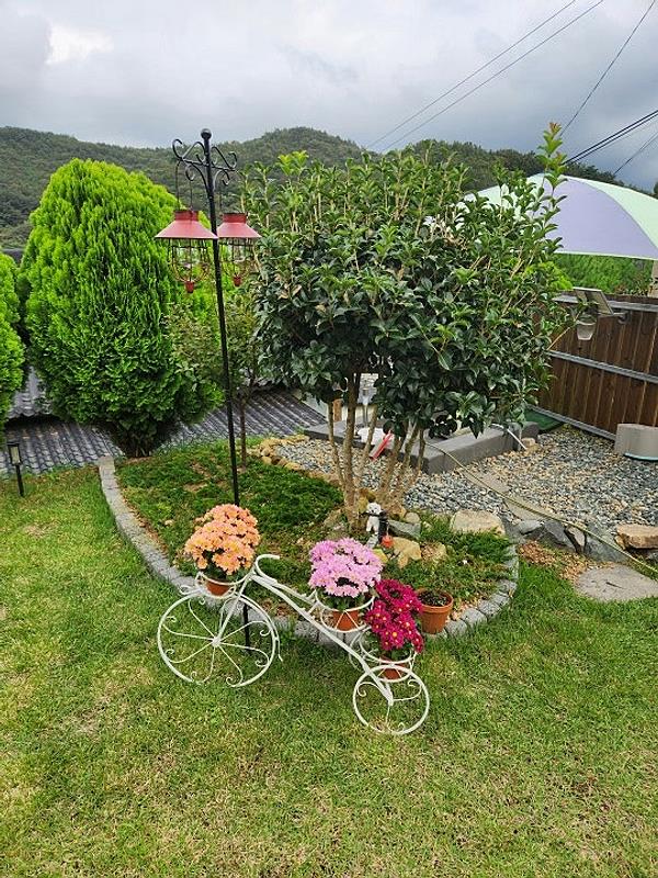 전남 장흥 너무 예쁜 한옥 매매 시골집 매매 (14).jpg