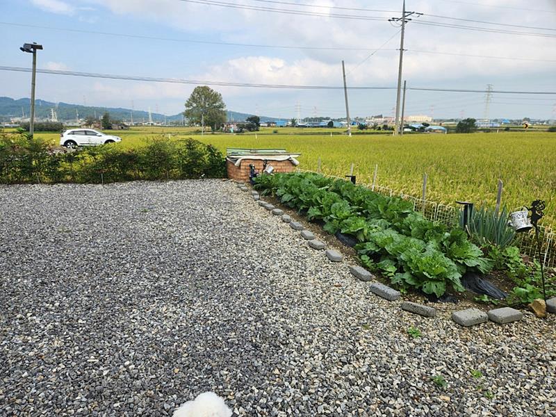 충남 예산 독립된 시골집 매매 주택 매매 2 (5).jpg
