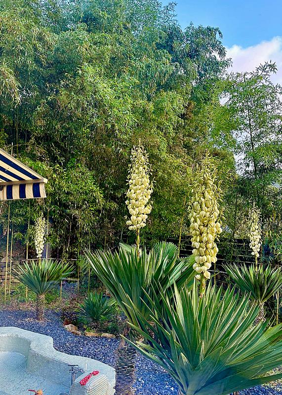 경남 고성 감성 시골집 매매 세컨하우스 매매 (22).jpg