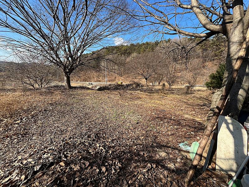 충남 부여 넉넉한 농가주택 매매 시골집 매매 1 (3).jpg