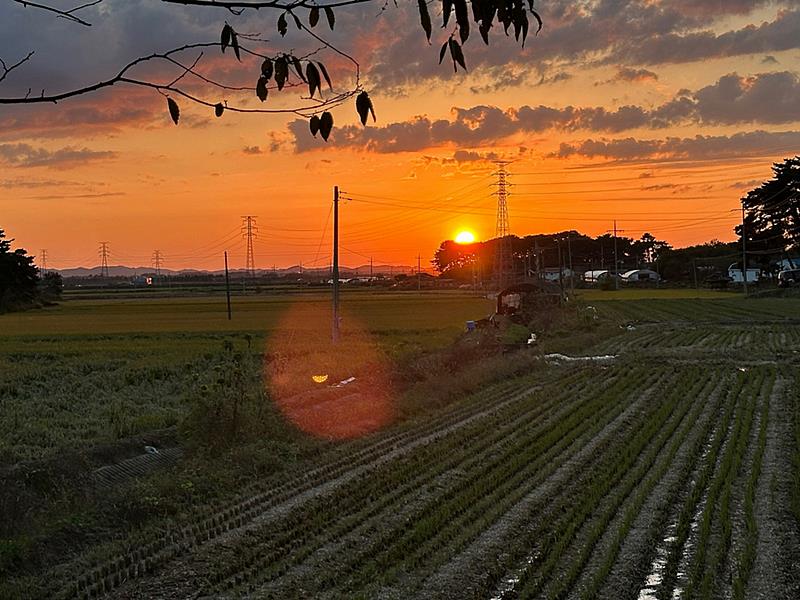 충남 논산 힐링 소형 주택 임대 시골집 월세 3 (4).jpg