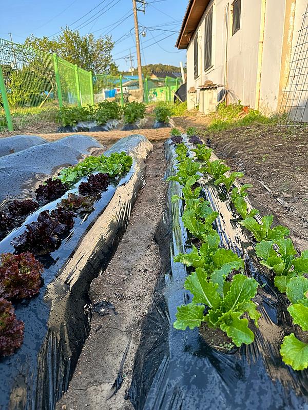 충남 논산 힐링 소형 주택 임대 시골집 월세 2 (3).jpg