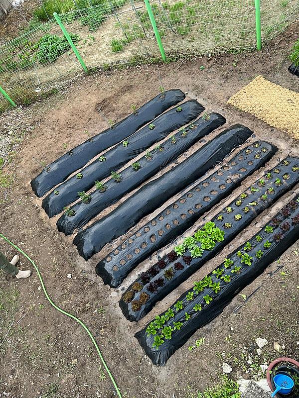 충남 논산 힐링 소형 주택 임대 시골집 월세 2 (2).jpg