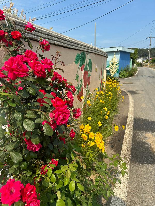 충남 논산 힐링 소형 주택 임대 시골집 월세 3 (2).jpg