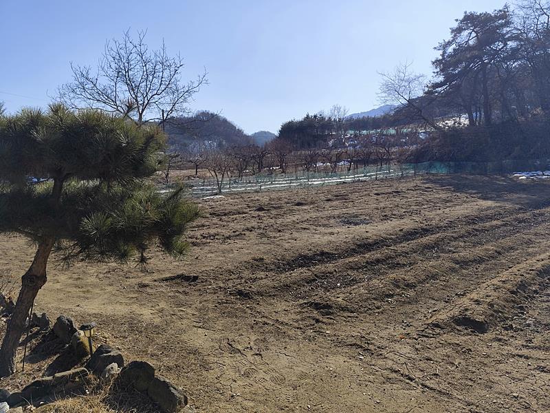 충북 충주 깔끔한 전원주택 매매 시골집 매매 (4).jpg
