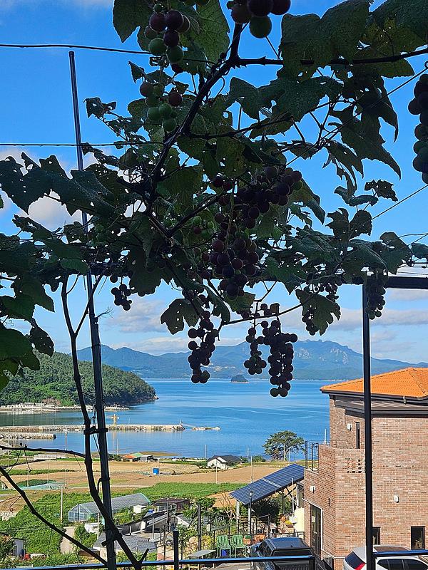 전남 여수 바다뷰 전원주택 매매 시골집 매매 (4).jpg