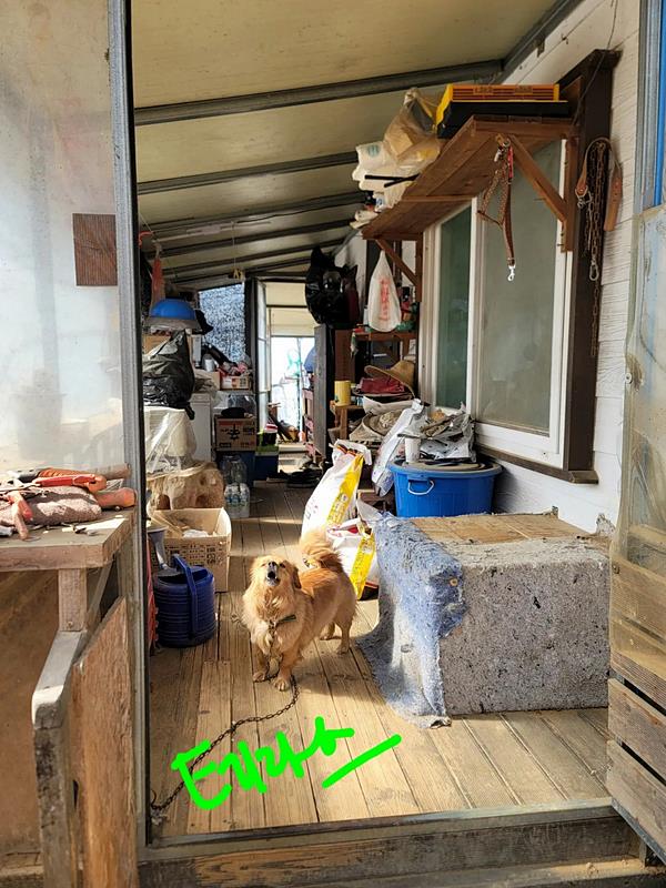 경기도 안성 힐링 농막 매매 시골집 매매 (3).jpg