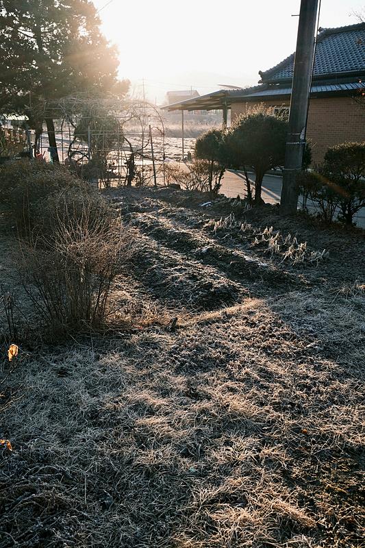 강원도 화천 자연 친화 시골집 매매 전원주택 매매 (3).jpg