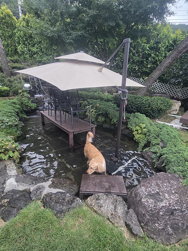 충남 금산 힐링 전원주택 매매 고급 주택 매매 4 (3).jpg