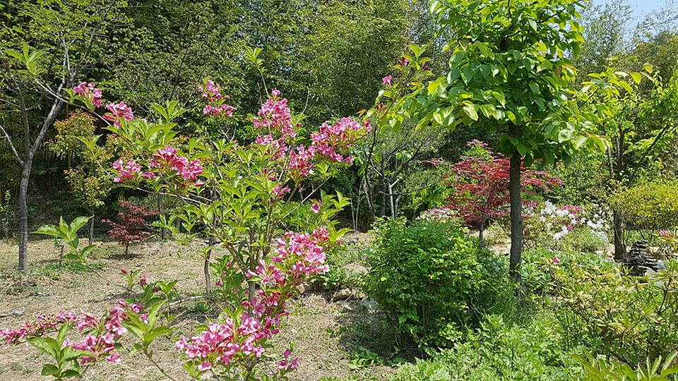 경북 울진 낭만 시골집 예쁜 촌집 매매 1 (4).jpg