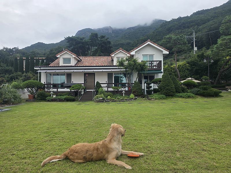 충남 금산 힐링 전원주택 매매 고급 주택 매매 (1).jpg