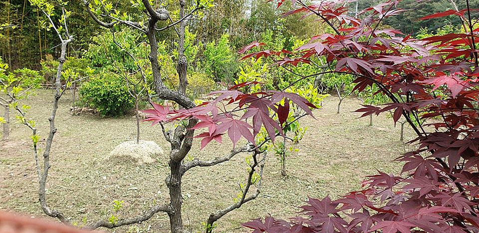 경북 울진 낭만 시골집 예쁜 촌집 매매 1 (9).jpg