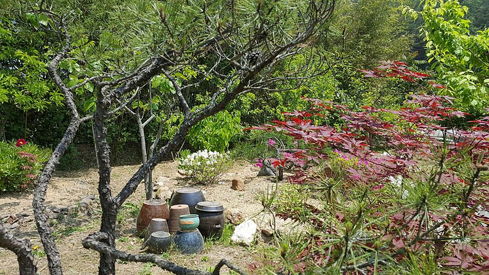 경북 울진 낭만 시골집 예쁜 촌집 매매 1 (5).jpg