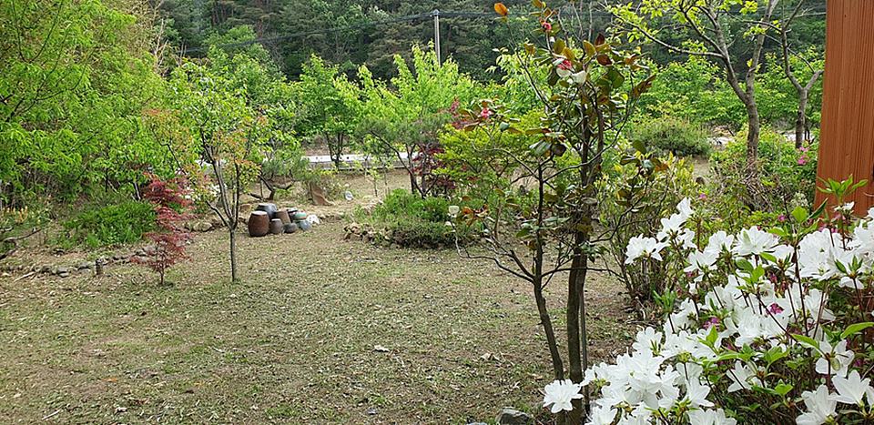 경북 울진 낭만 시골집 예쁜 촌집 매매 1 (8).jpg