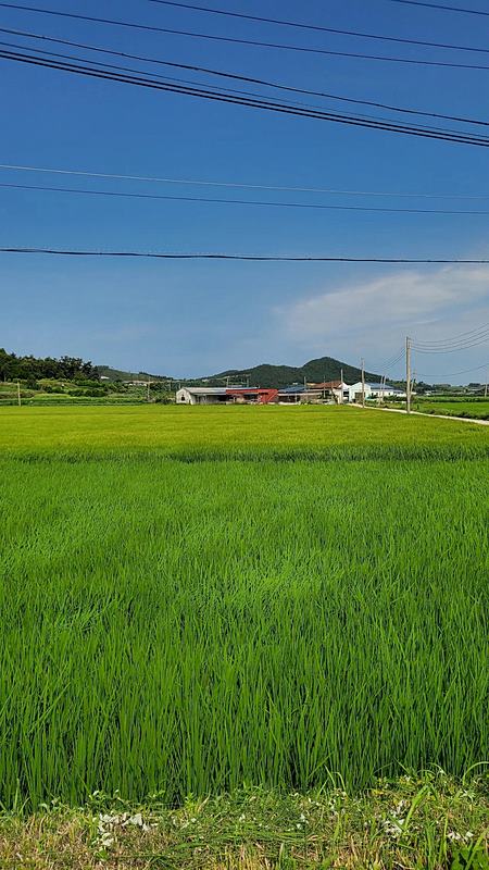 전남 해남 주택 매매 예쁜집 바닷가 시골집 매매 (3).jpg