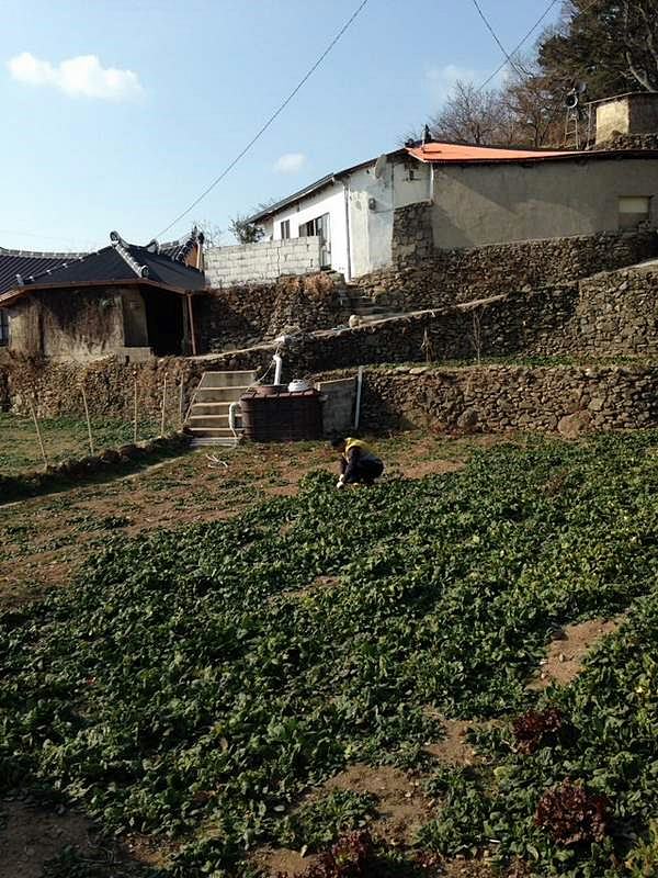 경남 남해 빈집 매매 바닷가 시골집 매매 (2).jpg