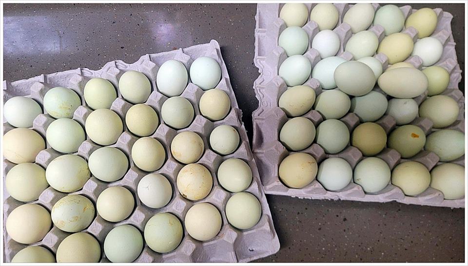 경북 영양 전원주택 매매 예쁜 단독주택 매매 (11).jpg