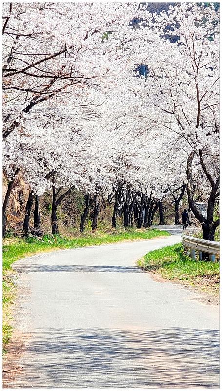경북 영양 전원주택 매매 예쁜 단독주택 매매 (14).jpg