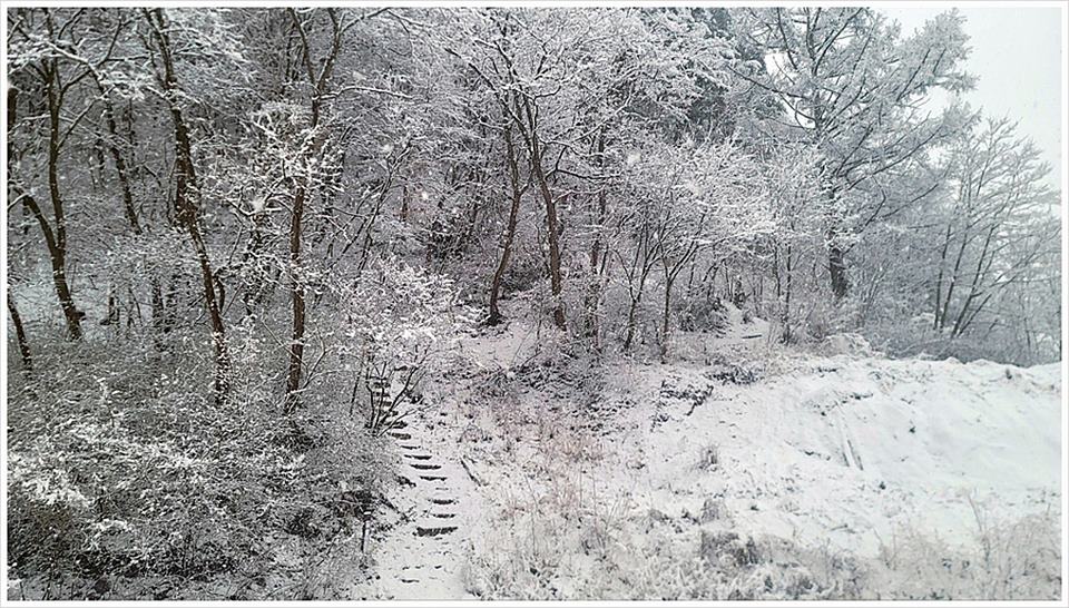 경북 영양 전원주택 매매 예쁜 단독주택 매매 (15).jpg