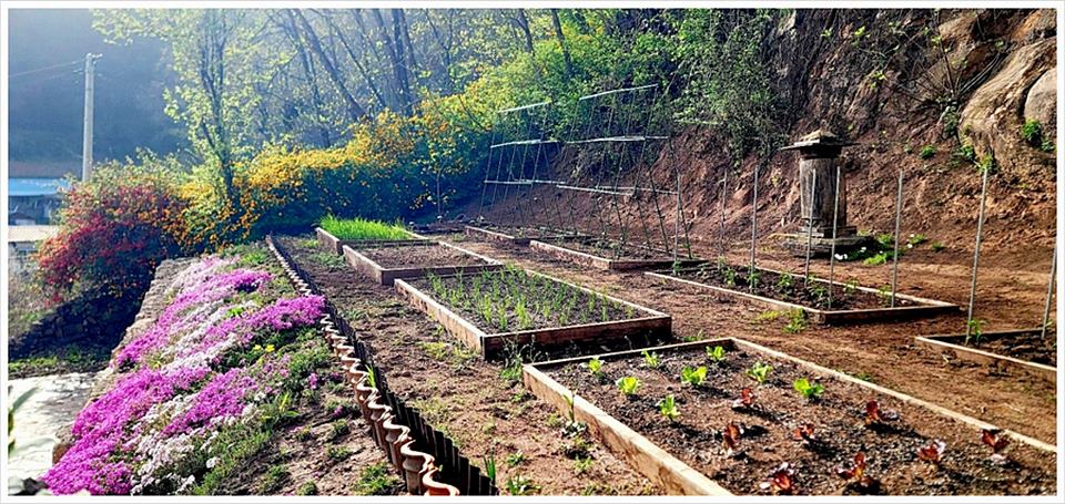 경북 영양 전원주택 매매 예쁜 단독주택 매매 (5).jpg