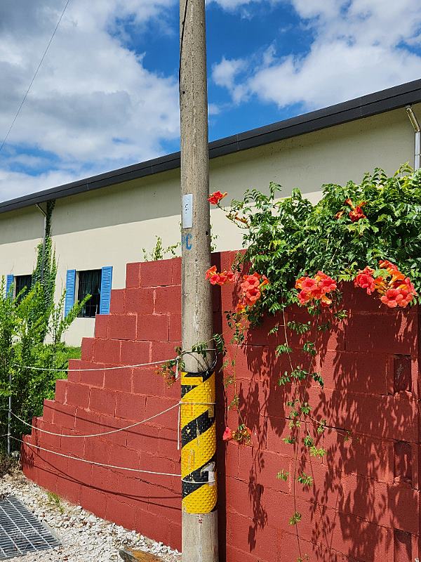 전북 장수 상가 주택 매매 수익형 주택 카페 매매 (7).jpg